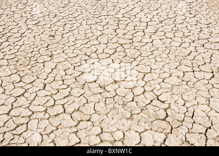 Immagine della massa di sdoppiamento del deserto con molte crepe Foto Stock