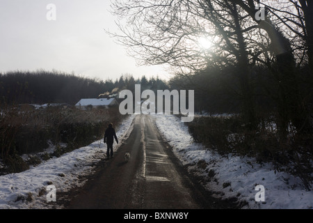 12 anno-vecchio ragazzo passeggiate lungo congelati strada rurale con seguente cane durante condizioni invernali nel nord Somerset. Foto Stock