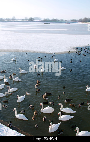 Congelati Tring serbatoi - Buckinghamshire Foto Stock