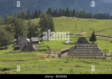 La Slovenia, pascoli sull'altopiano di Velika planina Foto Stock