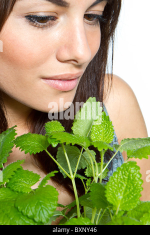 Donna con impianto di menta Foto Stock