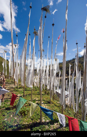 Orazione funebre bandiere a Pele La pass (3420m), la Montagna Nera, Bhutan Asia Foto Stock