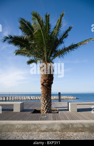 Nuovo lungomare a Ribeira Brava, di Madera Foto Stock