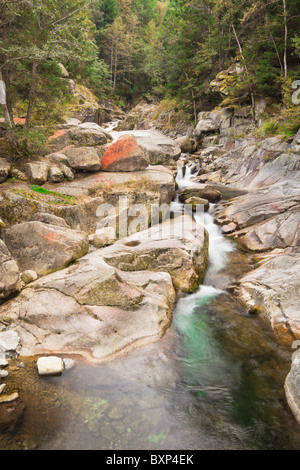 Bellissimo paesaggio del fiume Nucsoara prima della cascata Lolaia in Retezat National Park, Romania. Foto Stock