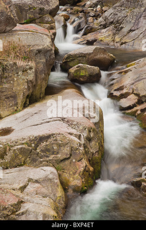 Bellissimo paesaggio del fiume Nucsoara prima della cascata Lolaia in Retezat National Park, Romania. Foto Stock