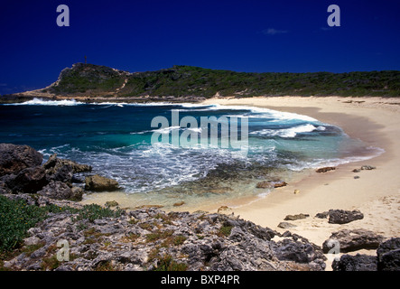 Spiaggia di Pointe des Chateaux sull isola di Grande-Terre Guadeloupe Francia Antille Francesi Foto Stock