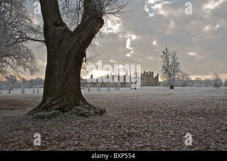 La massa di copertura di brina Burghley Park come il basso sole invernale si rompe attraverso il cielo nuvoloso. Foto Stock