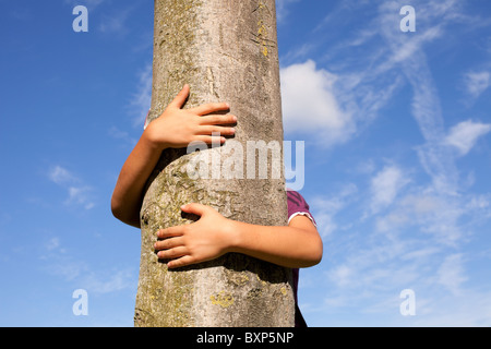 Kid mani abbracciando un tronco di albero Foto Stock