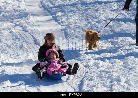 Una donna e di sua figlia slittino discesa da una collina in Riverside park accanto a un uomo a piedi il suo cane il giorno dopo una bufera di neve Foto Stock