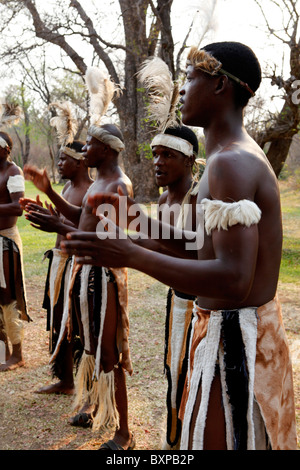 Tribale tradizionale danza cantanti a Victoria Falls nello Zimbabwe. Foto Stock