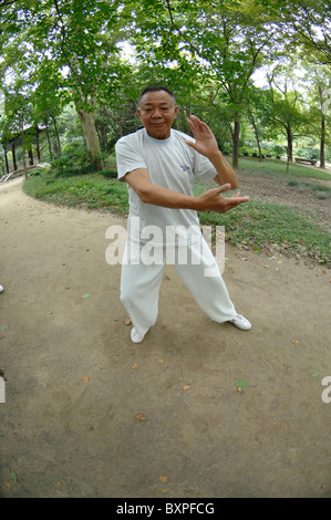 Un uomo vestito di bianco facendo tai chi chuan arte marziale all aperto in esili West Lake Park Yangzhou Jiangsu Province della Cina Foto Stock
