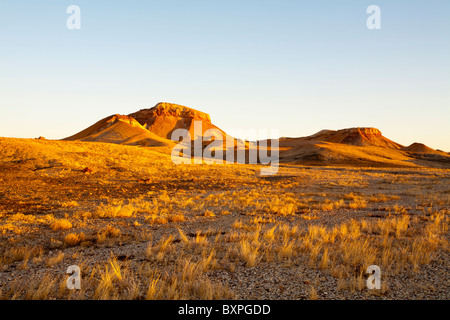 Sunrise nel Deserto Dipinto sulla stazione Arckaringa outback in Sud Australia Foto Stock