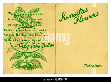 Kensitas fiori di carta di sigaretta cartella contenente un fiore di seta interno, dato via in confezioni di sigarette nel 1933 Foto Stock