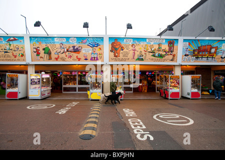 Skegness, Lincolnshire, Regno Unito.Skegness, Lincolnshire, Regno Unito. Una donna cammina i suoi cani nella parte anteriore di divertimenti a Skegness. Foto Stock