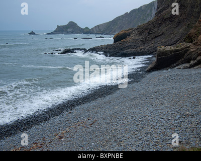 La spiaggia e la baia in estate motivi di Hartland Abbey a Hartland Point sulla North Devon Coast Foto Stock