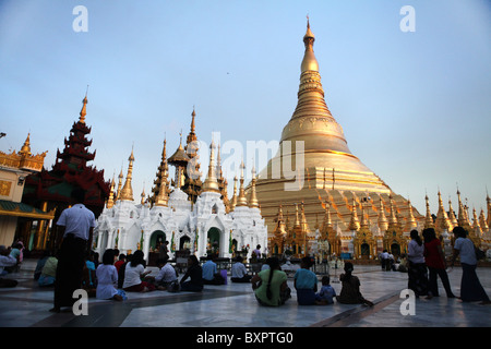 Shwedagon pagoda (Pagoda d'oro) o Shwedagon Zedi Daw a Yangon, Myanmar. (Birmania) Foto Stock