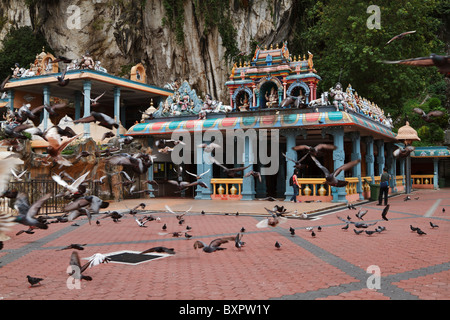 Prendere i piccioni viaggiatori per l'aria di fronte al tempio di Ganesha a Grotte Batu, Kuala Lumpur Foto Stock