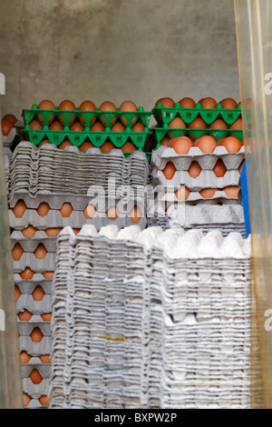 Le uova nel retro di un furgone per consegne. Uova di colore marrone in carta e vassoi di plastica sono impilati nella parte posteriore dell'autocarro. Foto Stock