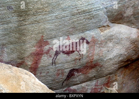 Preistorici paintintg rock di un' antilope, zebra o quagga, Sevilla Arte Rock Trail, montagne Cederberg, Sud Africa Foto Stock