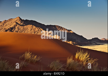 Dune di sabbia al di sotto del Naukluft Montagne (Naukluftberge) vicino al Sossusvlei in Namibia centrale, Africa Foto Stock