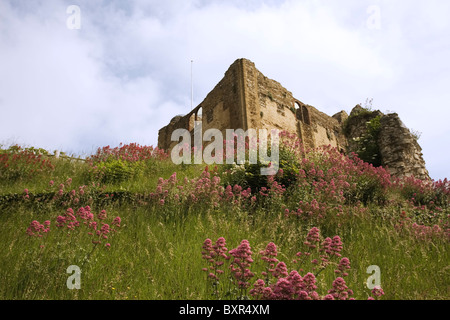 Il Castello di Guildford Surrey Foto Stock