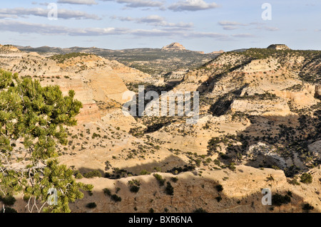 Vista di Devil's Canyon a San Rafael swell da I-70, Eastern Utah Foto Stock