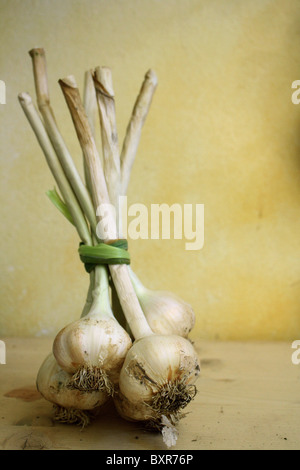 Mazzetto di aglio legati insieme su una tavola contro la parete gialla Foto Stock