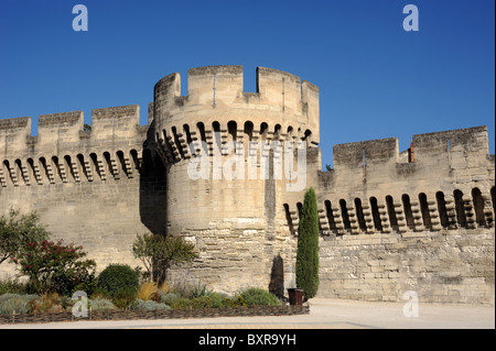 Francia, Provenza, Avignone, mura cittadine Foto Stock