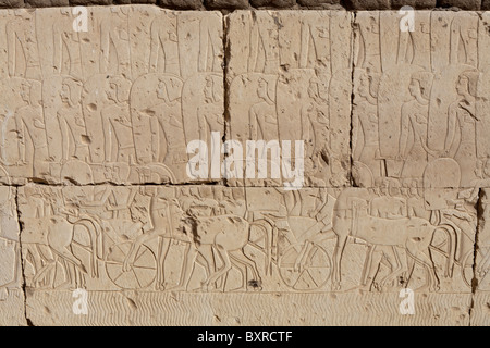 Rilievi della battaglia di Kadesh sulle pareti esterne del tempio di Ramesses II a Abydos, Valle del Nilo in Egitto Foto Stock