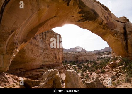 Guardando attraverso l'arcata del ponte Hickman, Capitol Reef National Park nello Utah Foto Stock