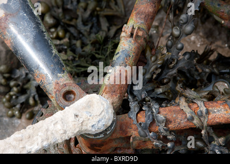 In prossimità di una rotta, vecchio arrugginito telaio di bicicletta Foto Stock