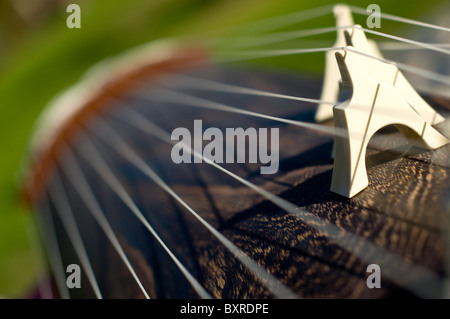 Il koto giapponese, il strumento nazionale del Giappone Foto Stock