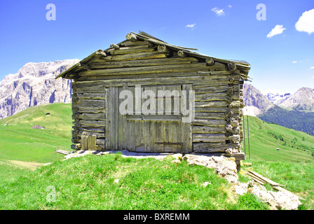 Estate ritratto di Dolomiti italiane in val di Fassa Alto Adige Alpi Italia Foto Stock