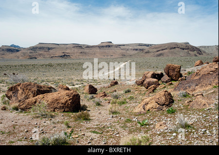 Wild Horse Mesa, Mojave National Preserve Foto Stock