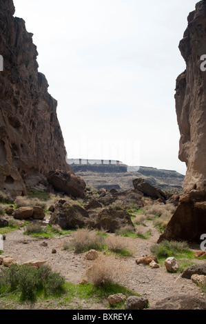 La grotta, sentiero ad anello, Hole-In-The-Wall, Mojave National Preserve Foto Stock