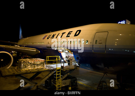 CHICAGO, Illinois: United Airlines jet con la porta di carico aperta e palette di carico che viene caricato. Foto Stock