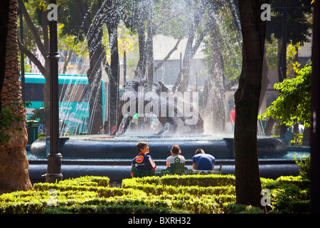 Jardín Centenario, Plaza Hidalgo, Coyoacan, Città del Messico, Messico Foto Stock