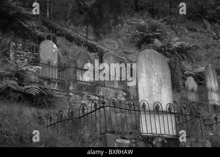 Vecchie lapidi sul lato di una collina WALHALLA VICTORIA AUSTRALIA BDA Foto Stock