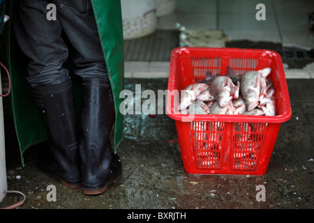 Cesto di pesce fresco che è stata ridotta ed eviscerati e direttamente dal mercato su Av de Demetrio Cinatti, Macao Foto Stock