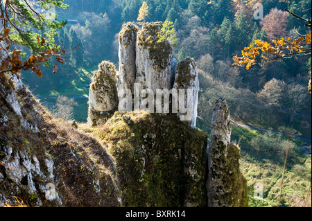 Guanto Rock in Ojcow National Park, Polonia Foto Stock