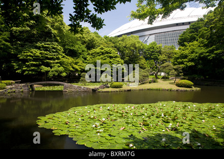 Asia, Honshu, Tokyo, Koraku, Bunkyo-ku, Koishikawa Korakuen Garden, Naitei - Giardino interno Foto Stock