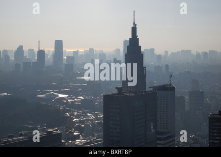 Skyline cityscape grattacieli di Tokyo Giappone Foto Stock