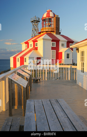 Capo Faro Bonavista Terranova Foto Stock