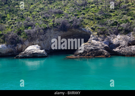 Grotta, costa tra Mattinata e Vieste e Gargano, il Parco Nazionale del Gargano, in Puglia, Italia Foto Stock