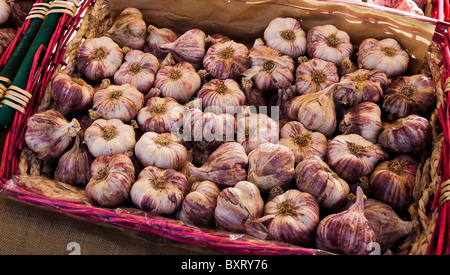 Aglio in vendita sul mercato Stall, Bournemouth, UK Foto Stock