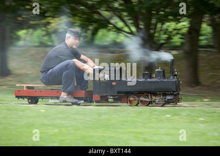 Modello in scala Steam Railway park correva da entusiasts, Gemona del Fruili, Italia Foto Stock