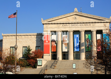 Colonne, facciata, e ingresso anteriore passi del Shedd Aquarium di Chicago, Illinois, Stati Uniti d'America Foto Stock