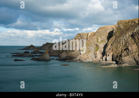 Vista costiera da Hartland Quay a nord, Devon, Inghilterra, Regno Unito Foto Stock
