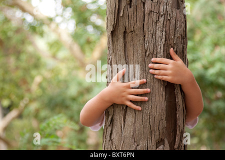 Kid mani abbracciando un tronco di albero Foto Stock