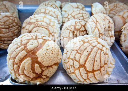 Conchas o Messicana di pane dolce in una panetteria di Coyoacan, Città del Messico, Messico Foto Stock